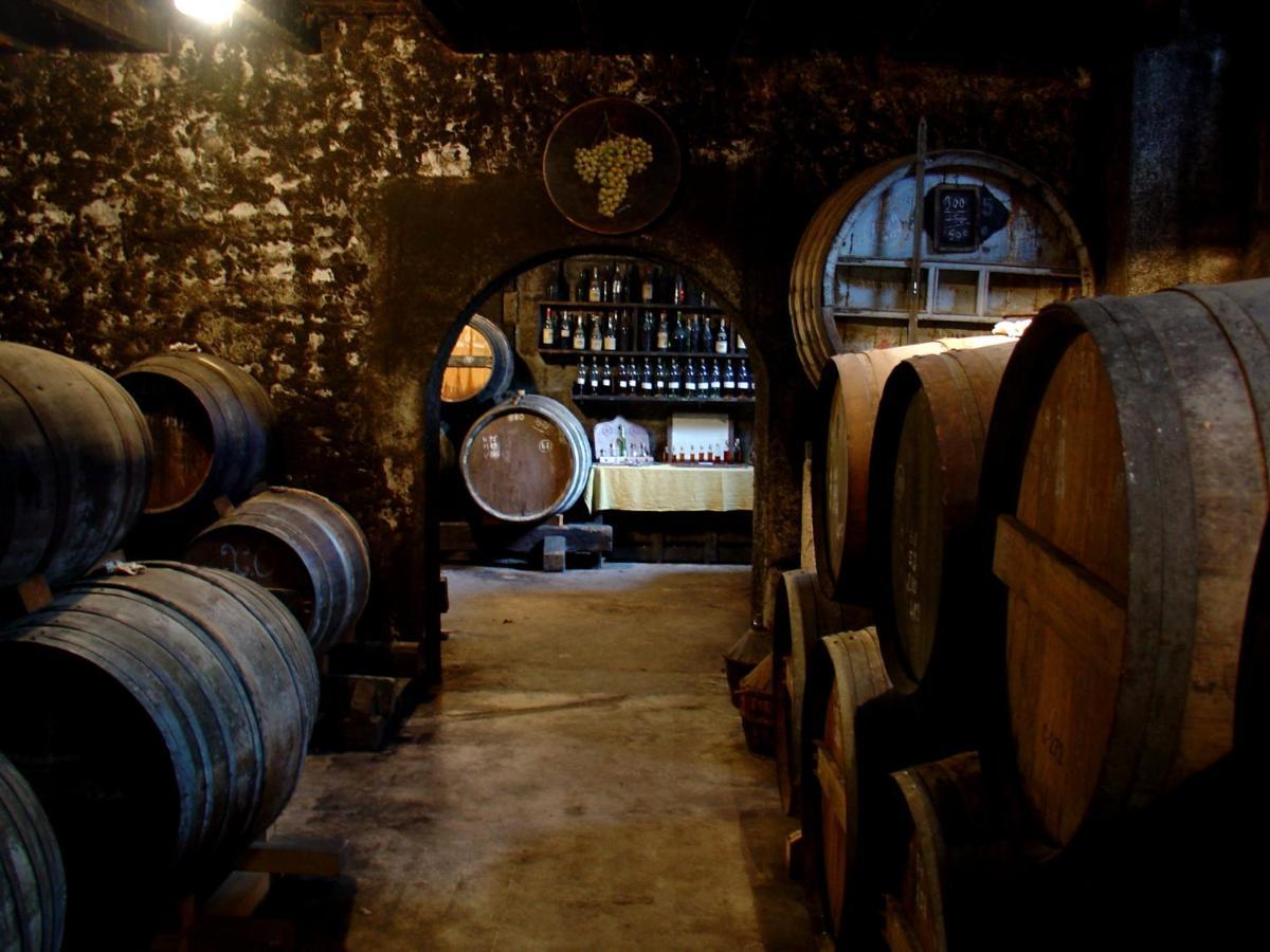 Le Relais De Saint-Preuil, The Originals Relais Vignes Du Cognac Hotel Екстериор снимка