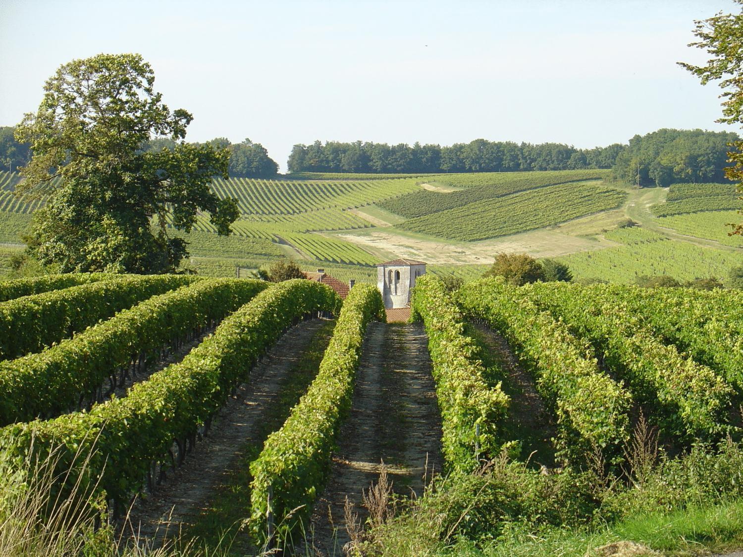 Le Relais De Saint-Preuil, The Originals Relais Vignes Du Cognac Hotel Екстериор снимка